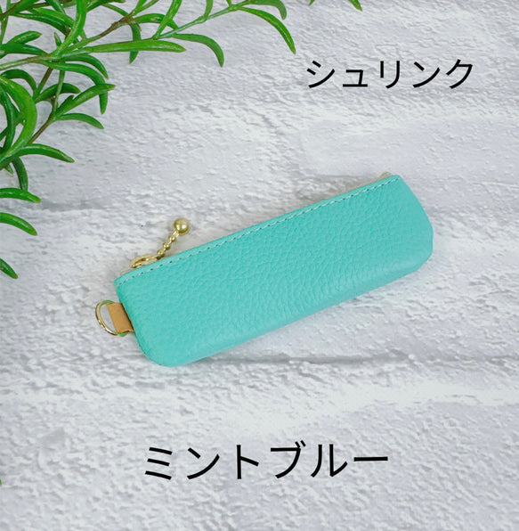 コインが見やすくたっぷり入る長細いコインケース シュリンク ビタミンカラー
